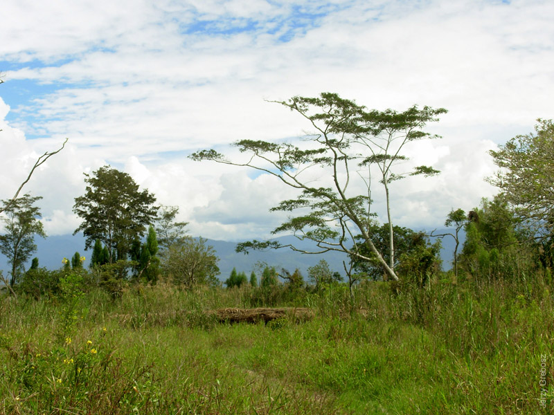 090507-131424_papua