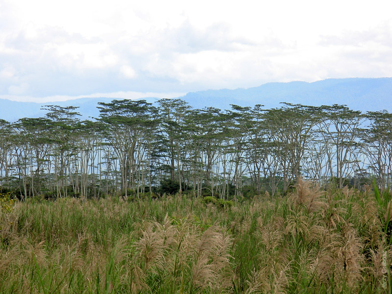 090507-135358_papua