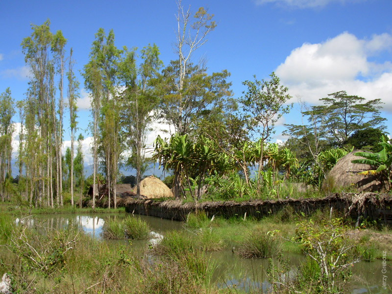 090508-094216_papua