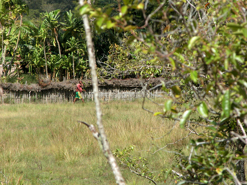 090508-094540_papua